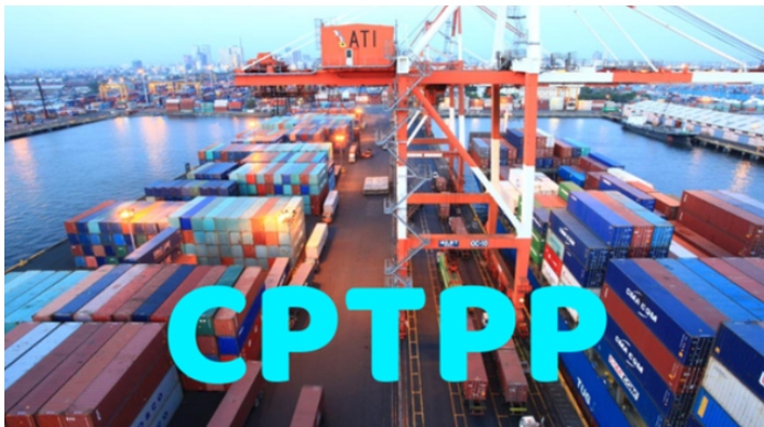 How to capitalise on major advantages to increase exports to the Americas